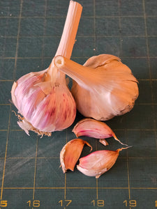 French Fire Garlic