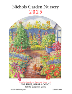 Nichols 2025 Descriptive Catalog