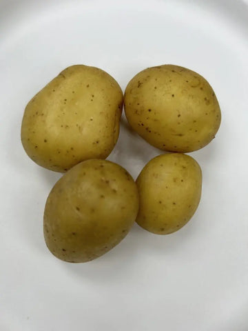 Cosmic Gold Potato, yellow round potato similar to yukon gold