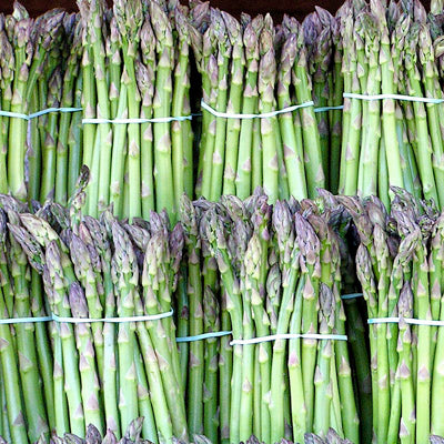 Asparagus Seed (photo from Wikpedia)