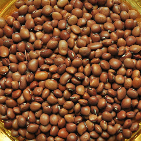 Santa Maria Pinquito Bean