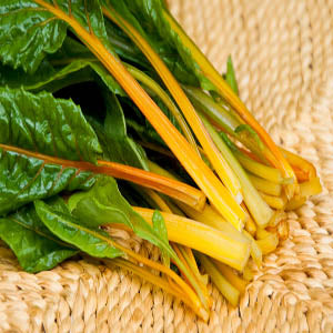 Golden Sunrise Chard