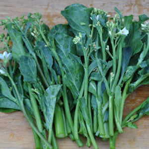 Gai Lohn - Chinese Broccoli