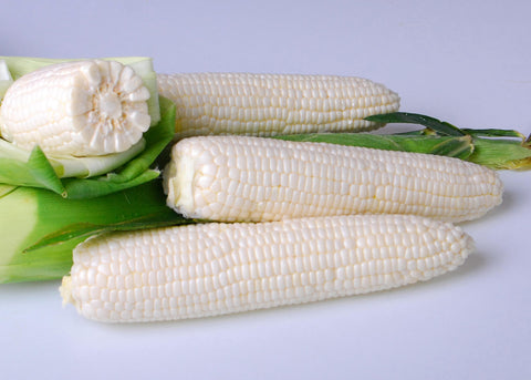White Argent Sweet Corn, (photo copyright Crookham Company)