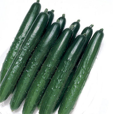 Summer Top Cucumber