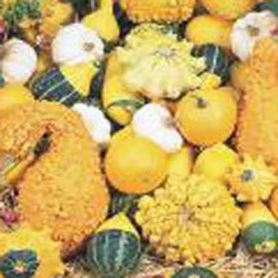 Small Gourd Mix