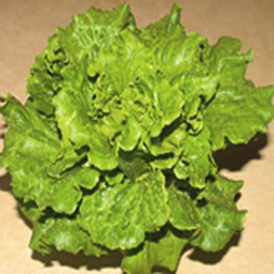 Anuenue Lettuce