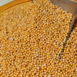 yellow mustard seeds for planting Yellow Mustard Seeds – Nichols Garden Nursery