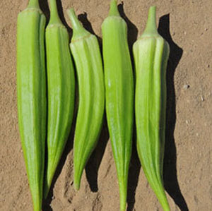 Clemson Spineless Okra Organic