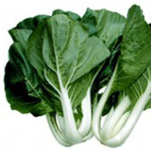 Chinese Pak Choi