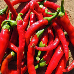 Long Thin Cayenne Pepper