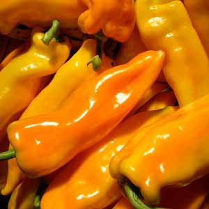 Pepper – Nichols Garden Nursery
