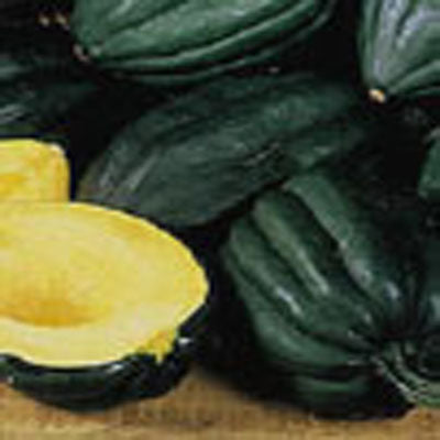 Table Queen Bush Acorn Squash – Nichols Garden Nursery