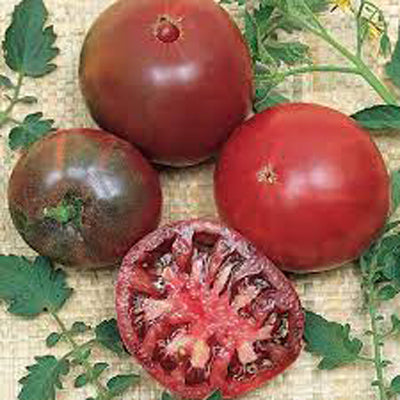 Black Krim Tomato Organic