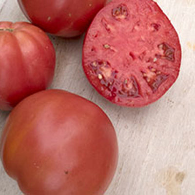 PlantFiles Pictures: Tomato 'Brandywine (Sudduth Strain)' (<i>Lycopersicon  lycopersicum</i>) by blameitonkarma