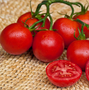 Fakel Tomato Organic