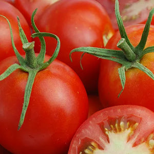 Glacier Tomato  Photo by way of AP Whaley