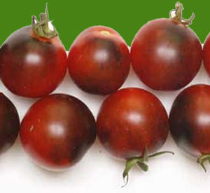 Indigo Cherry Drops Tomato
