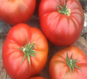 Tasmanian Chocolate Tomato