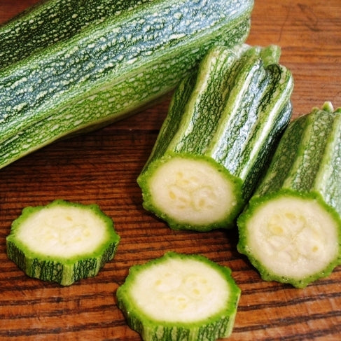 Costata Romanesco Zucchini