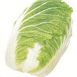 Kyoto Cabbage