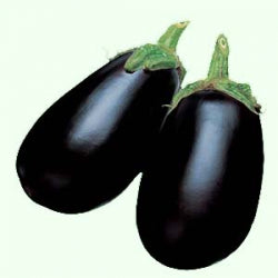 Black Enorma Eggplant (F1)